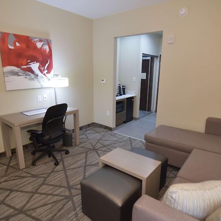 Comfort Inn & Suites Houston I-45 North - Iah Aldine Ngoại thất bức ảnh